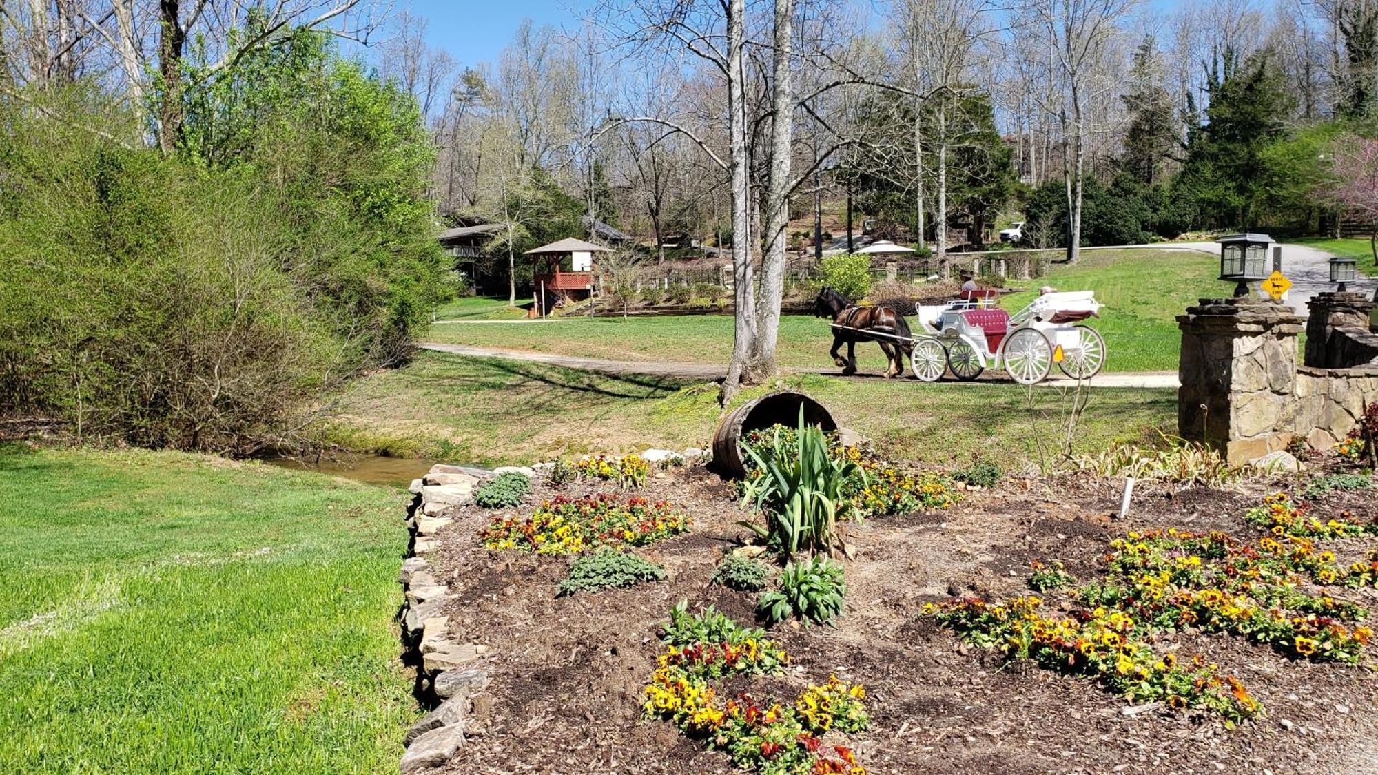 Forrest Hills Mountain Resort Dahlonega Esterno foto