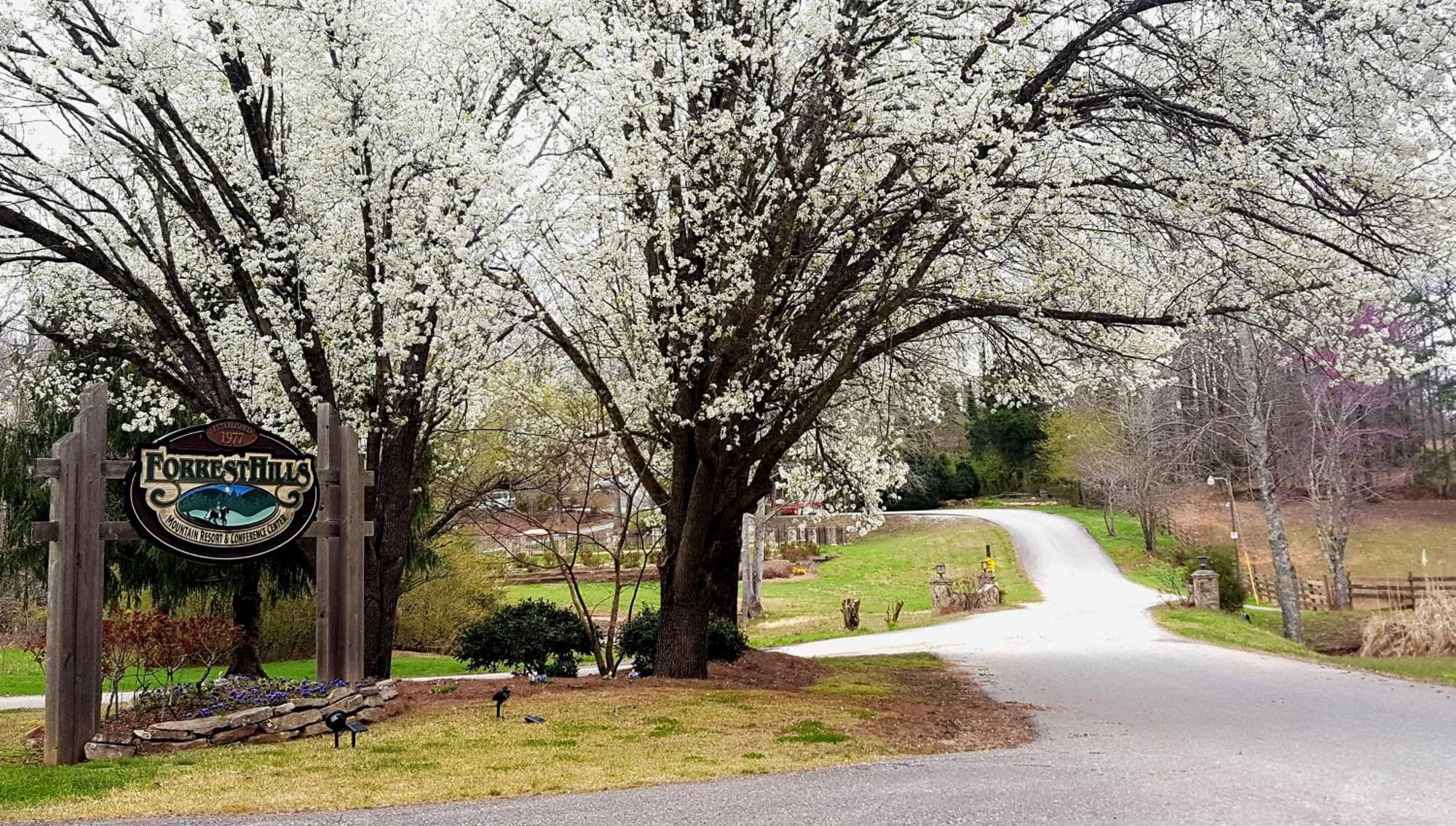 Forrest Hills Mountain Resort Dahlonega Esterno foto