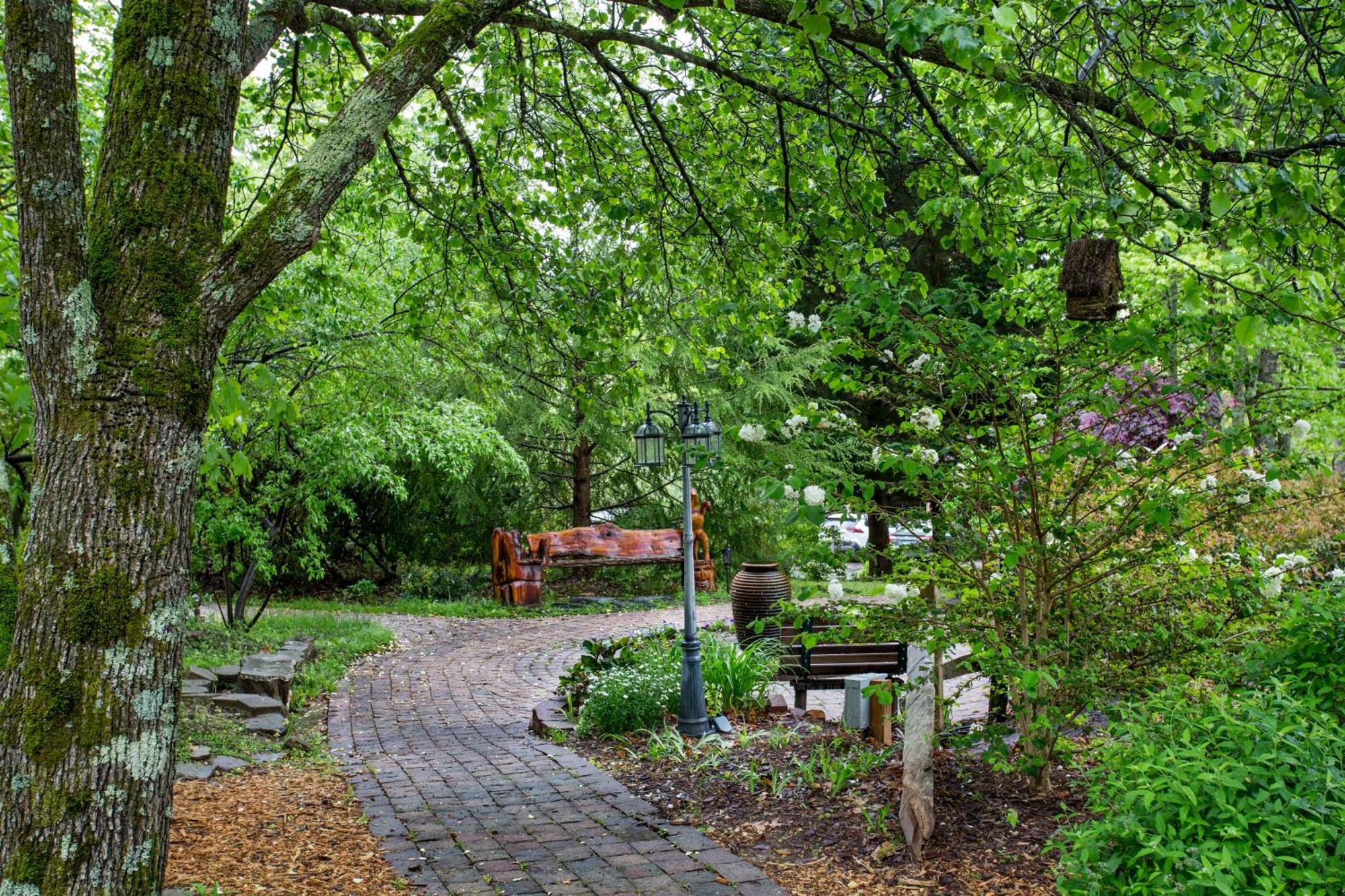 Forrest Hills Mountain Resort Dahlonega Esterno foto